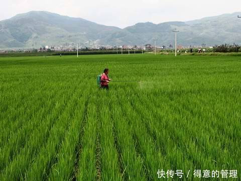 农村干这种生意的人要当心了，专家今年将有50%的经营者要关门