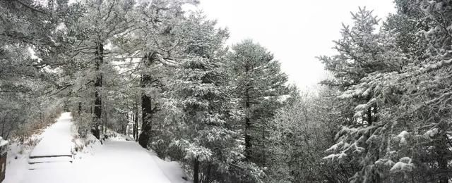 初冬已至，降温来袭 | 陕西这些地方已经下雪啦！想看雪景的走起