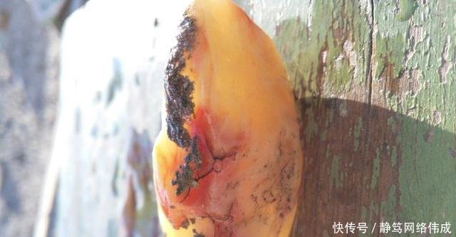 新疆目前可以免费捡石头的几个地方