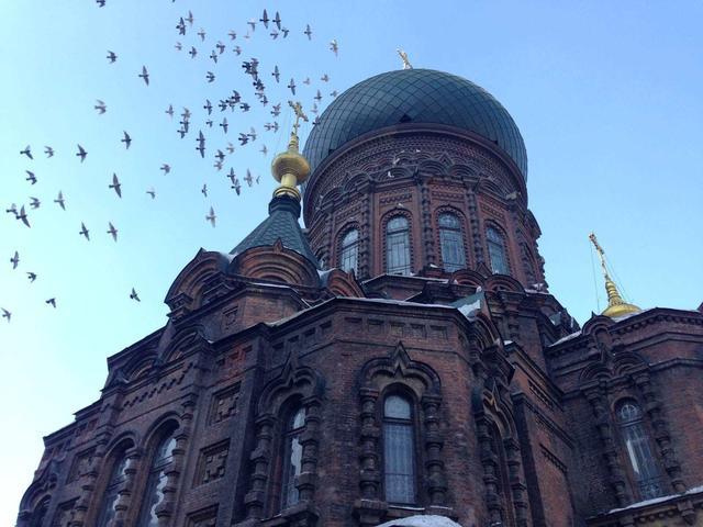 国内最大的省会城市，面积是上海的8倍，常住人口1066万人！