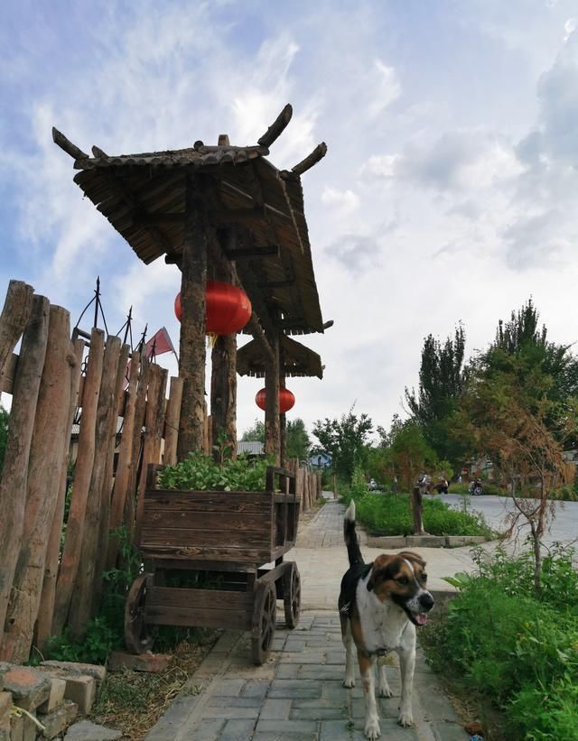 96天、17191公里！我的三个多月新疆自驾游，到底花费了多少？