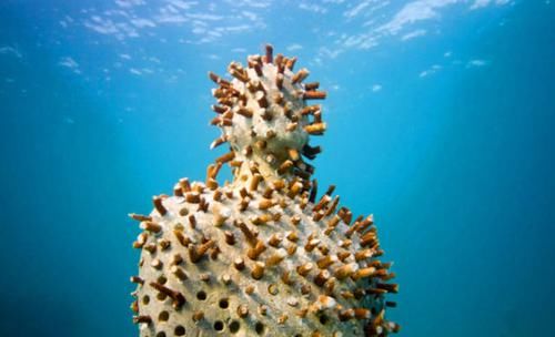 游客发现底里聚集大量“人群”,相关部门闻讯后立即展开调查