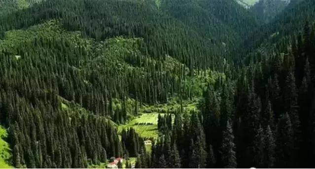 【新疆是个好地方】每一处都值得期 细数最美新疆12景