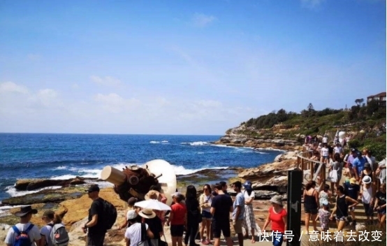 好养眼！中国人到悉尼的海滩，看到这样的画面，都不想走了
