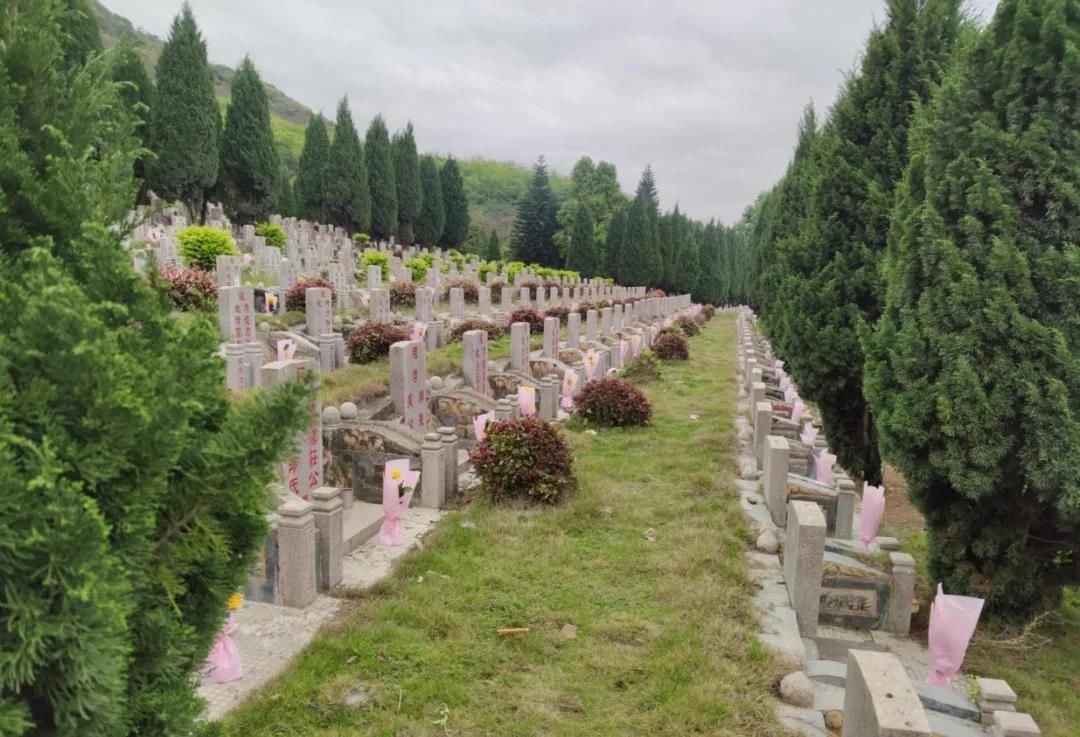  清明节：云祭扫、云献花……在潮州，清明节你可以通过这些方式追思故人