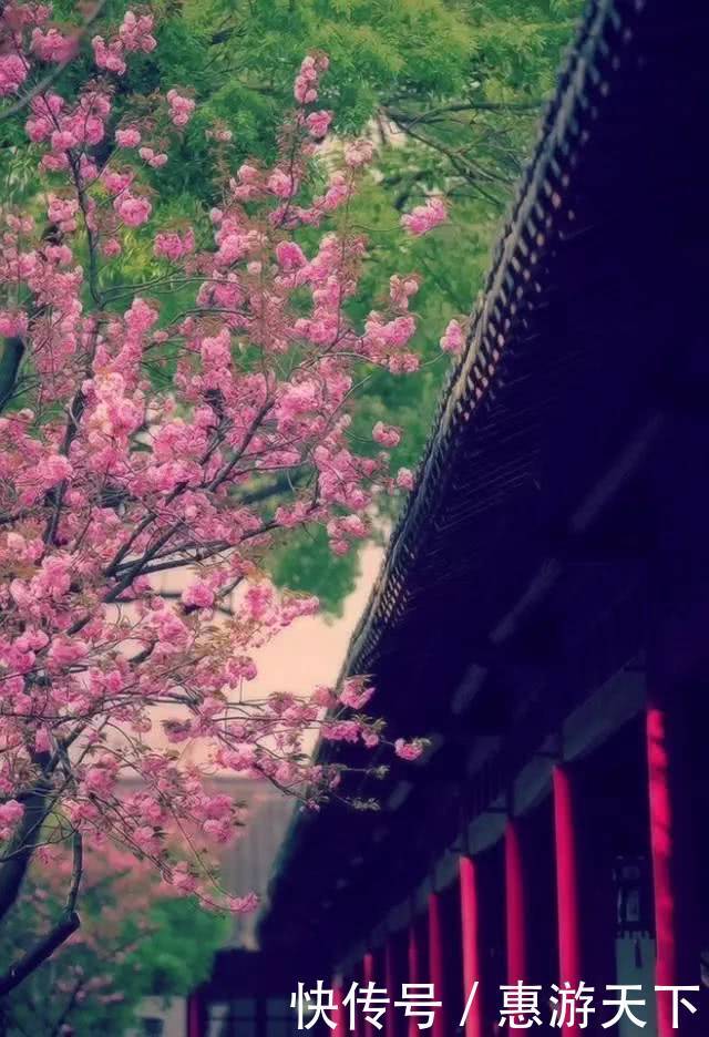 人间三月，桃红柳绿，杏花春雨，最美江南！