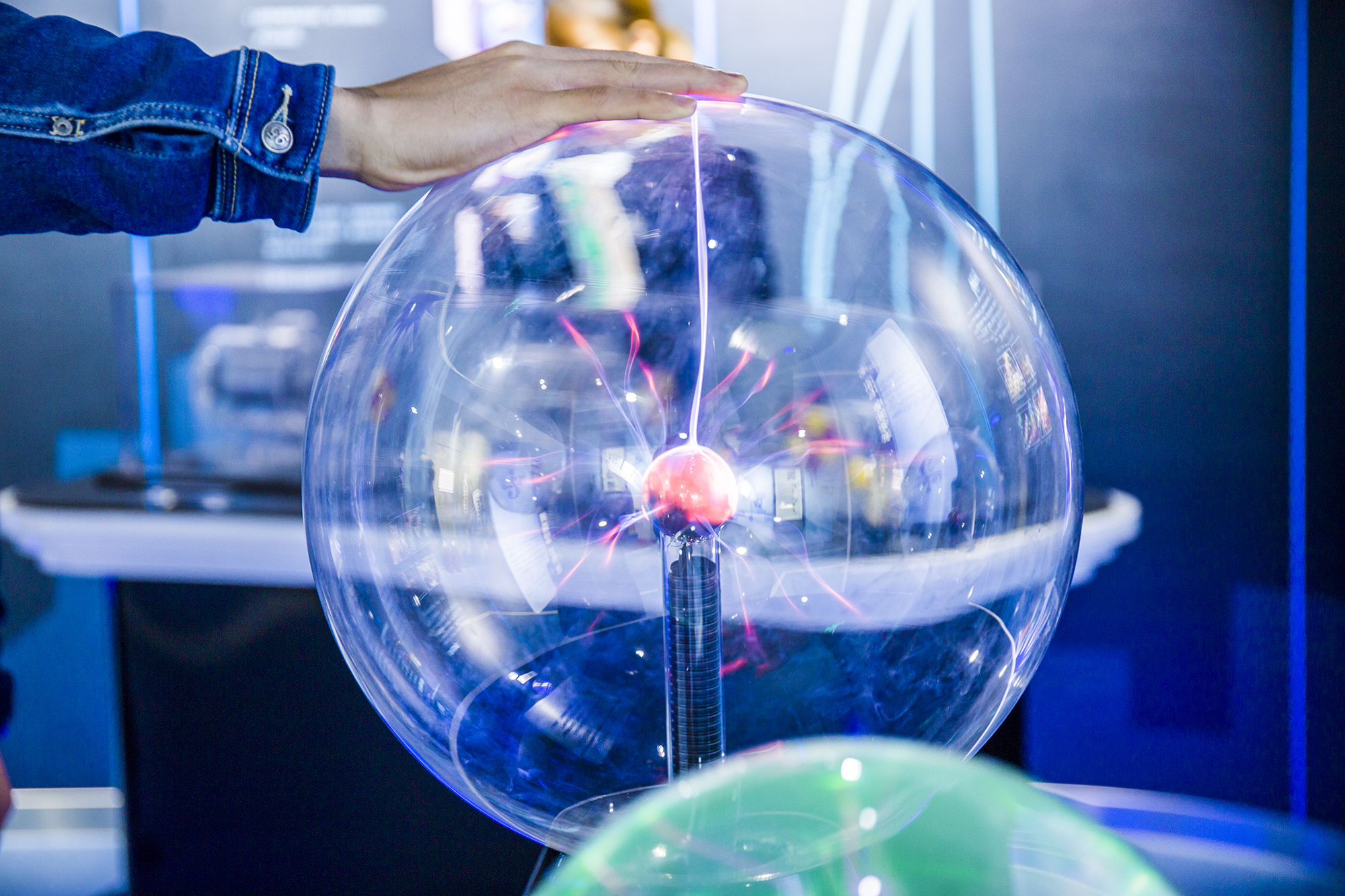 东营丨走过沧海桑田，终是在芦花飞雪的秋日遇见你