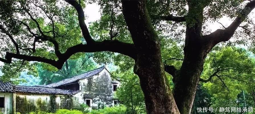 这座低调小城承包了浙江最美的春天, 清明去过两三天乡下生活~