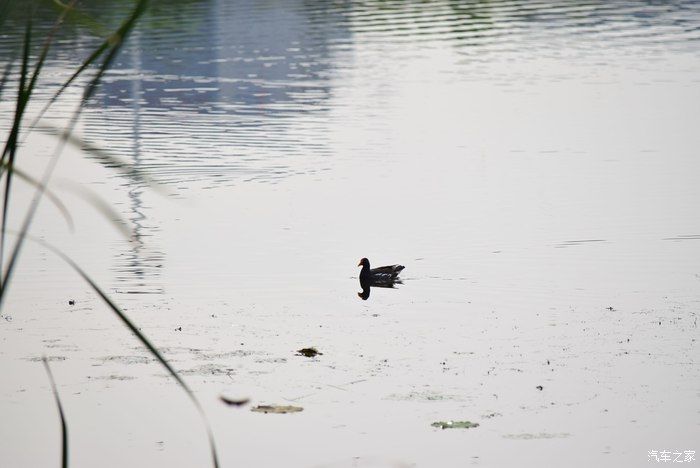 奥迪A6L，宝马X3，奔驰GLB，凯迪拉克CT5，不一样的新感受之九