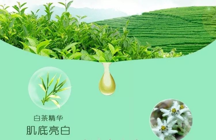 唐艺昕怀孕领证双喜临门?这个没心没肺的姑娘为什么能让张若昀爱