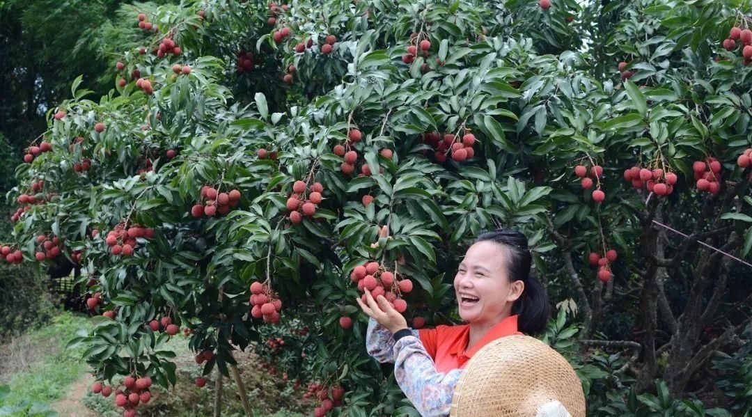  「农村」农业新风口已经显现，农村万事俱备，农民乘风破浪的时