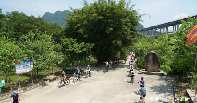 我竟在广东遇见了桂林, 还被群花相拥着