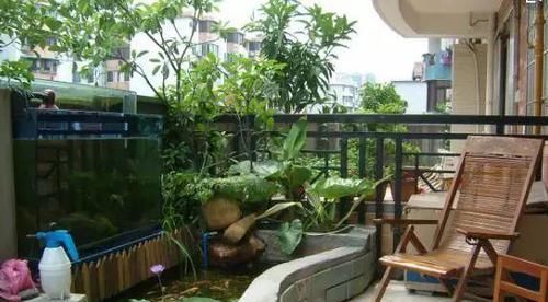  「人喜欢养」在阳台上砌一个鱼池，可拉风了，让外人一看就觉得你是个土豪！