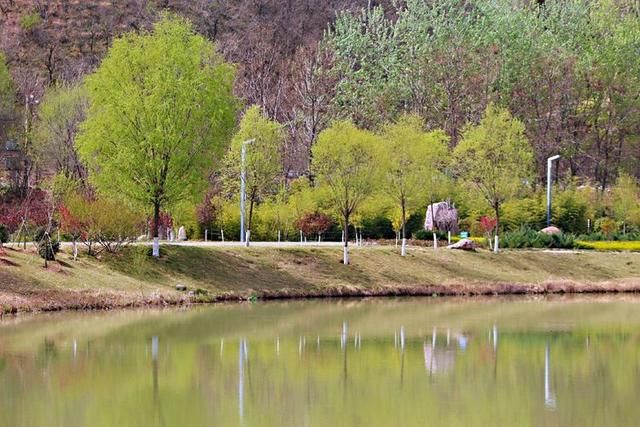 三月春暖花开,又到了寻花问柳的季节!