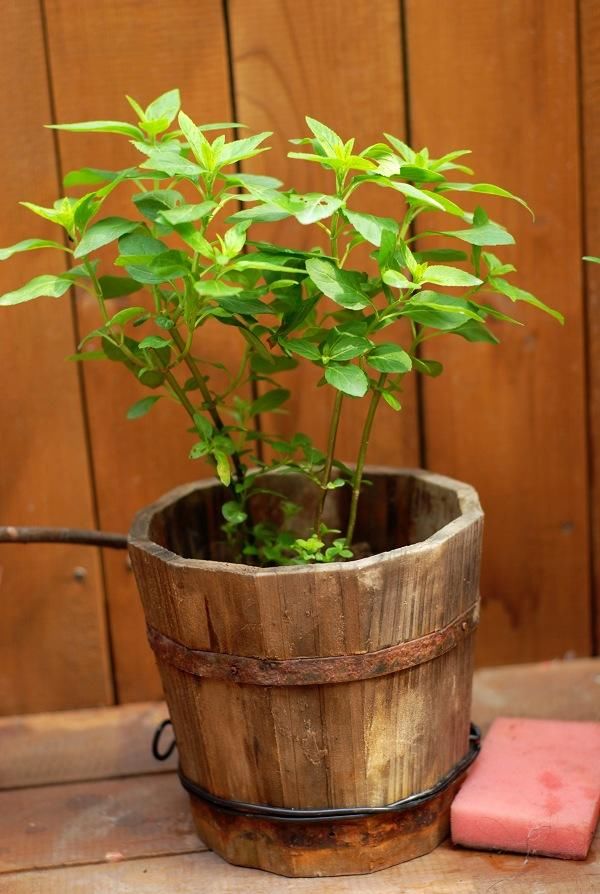 城里人咋想的？专从农村收购老物件，300斤猪槽也要买了放院子里