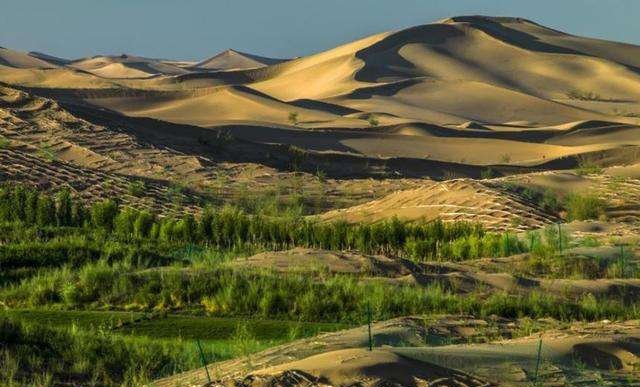 全球唯一“沙漠变绿州”的地方!中国人又创一奇迹,让世界赞叹