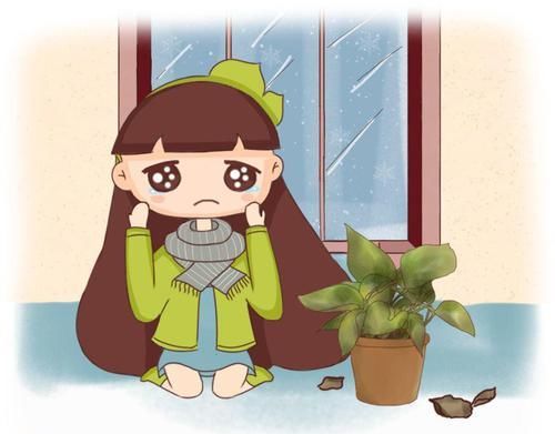  『温度降到』再好养的花也怕冷，放外面一晚上，一不小心变烂草！