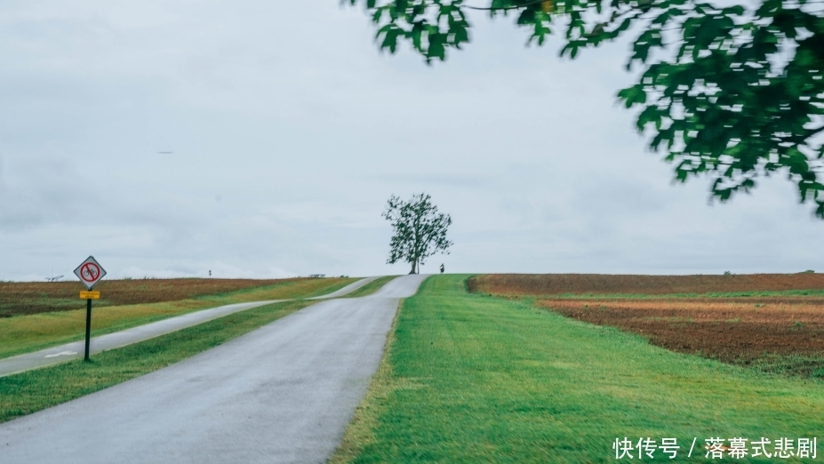 清莱这一大型公园，占地千亩，景色仿佛流动的明信片