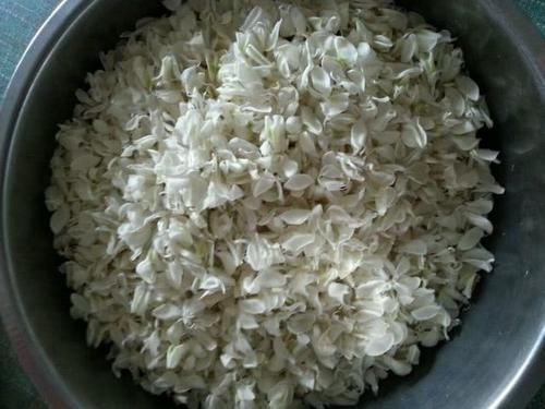 农村这种树浑身是宝，一斤花朵20块，种子酿酒是一绝却无人问津