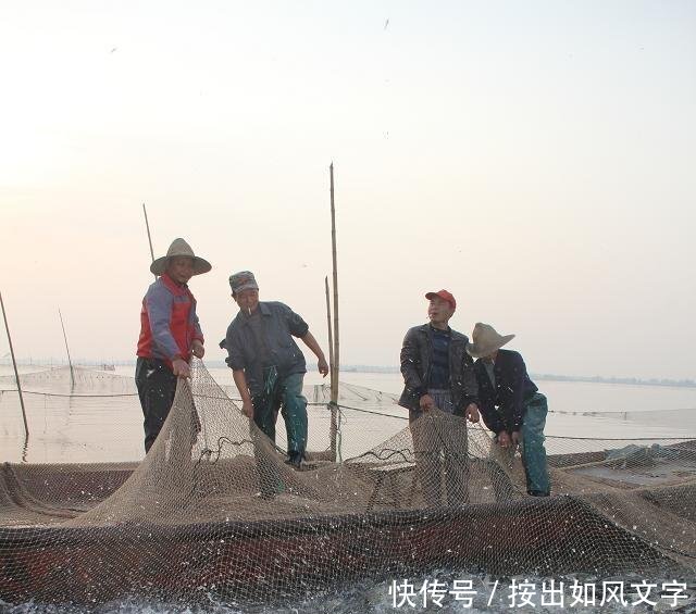 查干湖一网30万斤鱼，头鱼拍卖99万，网友半辈子身价不如一条鱼