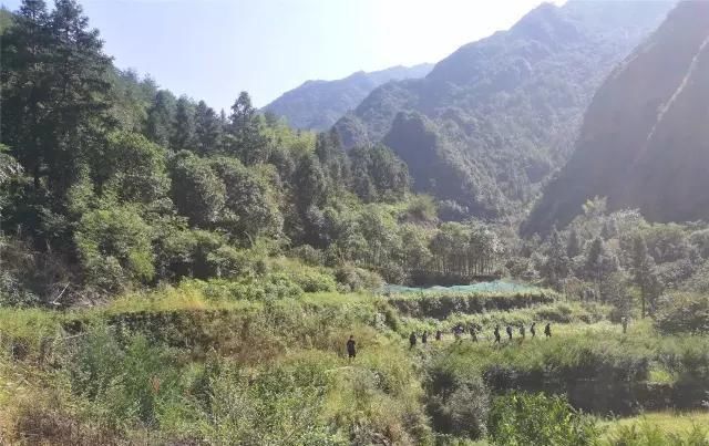  「大若岩镇」温州芙蓉岭古道，浙江省十大人文古道之一