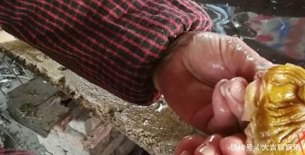 农村人把它当做宝贝，城里人都把它当垃圾，你肯定不知道它能这样