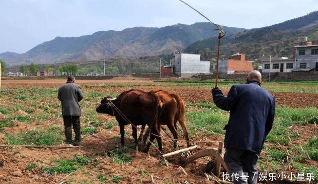 农村老话“外甥头,舅家牛；叔嫂房,不同问”,亲戚之间啥讲究！