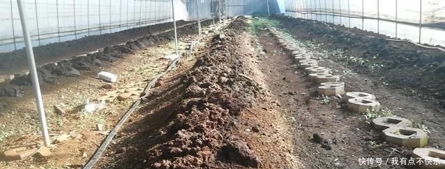  蚯蚓粪有机肥@蚯蚓循环有机养殖，最全面的分析，果断收藏