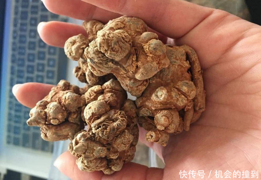从800一斤跌到2块，赔了个底朝天，“致富项目”能不能信