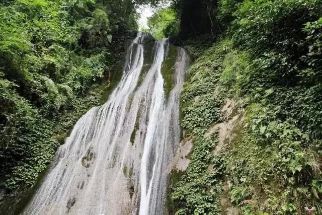 成都近郊一个小城，藏着7个耍水圣地，还全都没有门票！