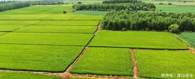  「关系」中央宅基地新规定，农村有房有地的看过来！5项政策关系