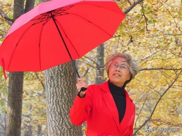 2019杏会邳州｜巩伟鸣邳州美景摄影作品欣赏