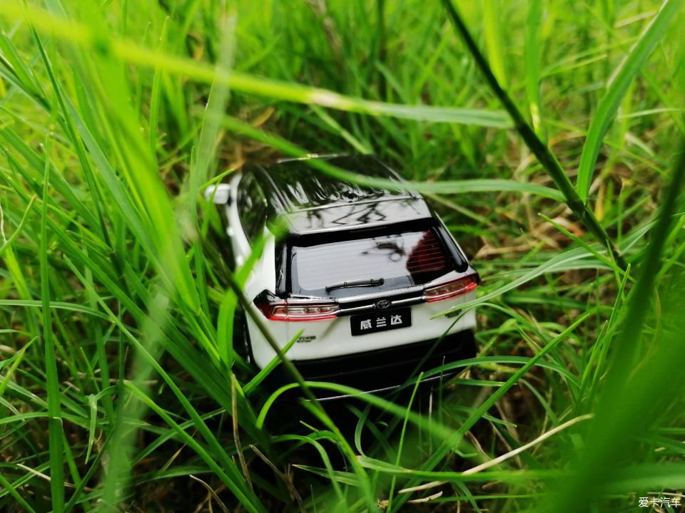 特别:十里春风,打卡滨江公园