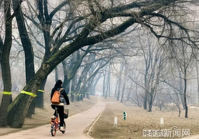  『等级』哈尔滨提升重污染天气预警等级至二级橙色预警 | 雨夹雪+大风降温正在路上…