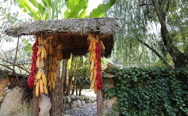 与其在异乡“孤独”打工者，不如回乡创业!在农村干什么能赚钱?