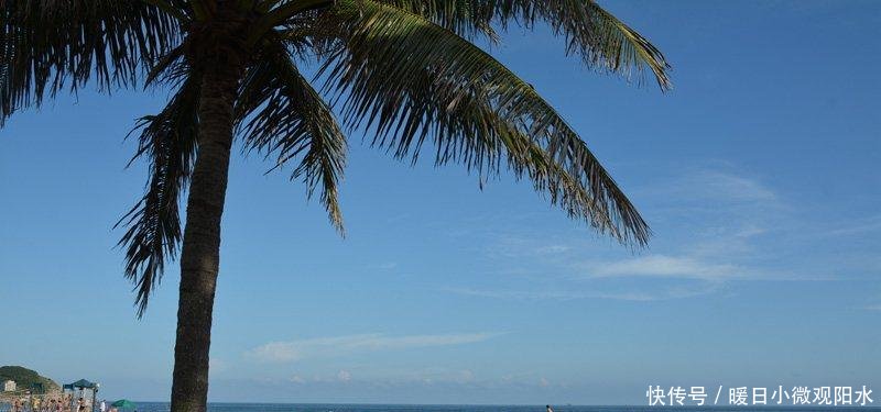 它被称为广东最美的海岛, 100多年前差点被租借给英国!