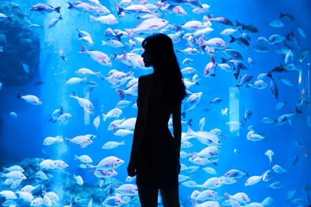 有些人在成都生活了20年，依然是个游客！