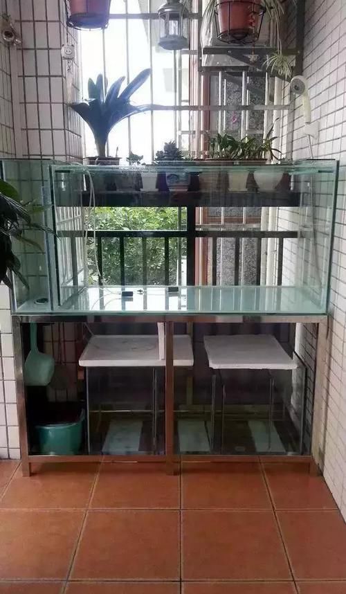  『人喜欢养』在阳台上砌一个鱼池，可拉风了，让外人一看就觉得你是个土豪！