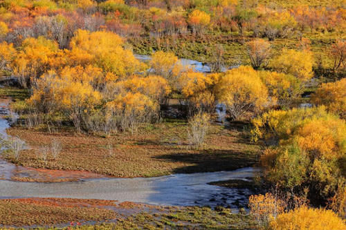  「大有前途」安徽最“奋发图强”的城市，不是合肥也不是淮北，
