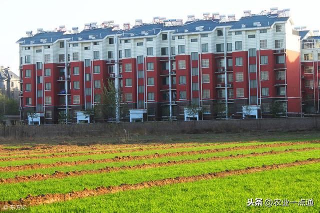 将来农村真的都需要搬迁吗?村民们如何看待呢?