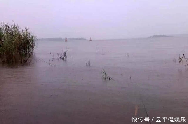 不折不扣:垂钓长江边,不折不扣的当了回“白条杀手”