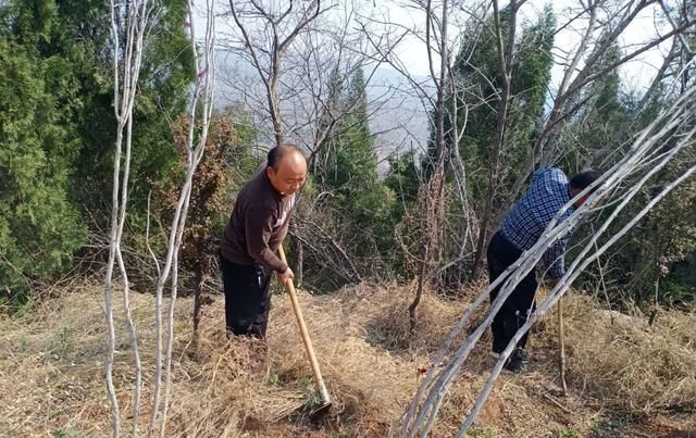  「社区」狂口社区组织楼长、居民志愿者到农业示范园参加义务劳动