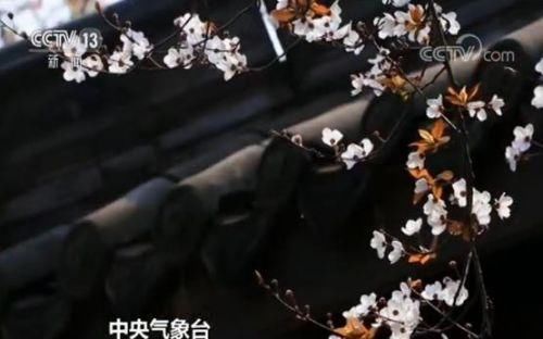 中央气象台天气预报：冷空气将至 中东部气温先升后降