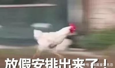  星期|元旦休1天，五一休5天！2020年部分节假日安排来了！