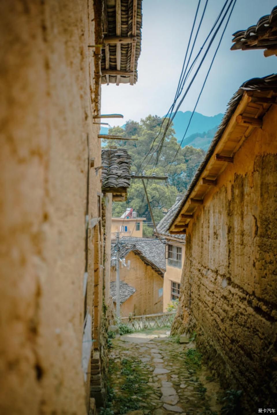  世外桃源@茶香环绕，与探岳陶醉在世外桃源。