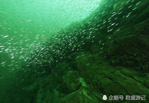 真实存在的“水下世界”,每年只在陆地上出现三个月,观赏靠运气