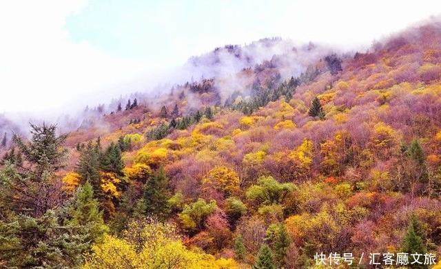 10处绝美秋季自驾打卡地，开车去看最美的风景