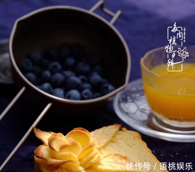 #喜欢#一粥一饭填饱肚子,一屋一花神仙日子!生命不止,玩趣不停!