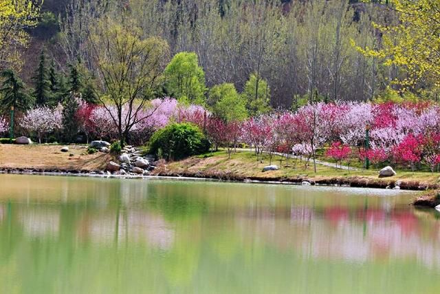 三月春暖花开,又到了寻花问柳的季节!