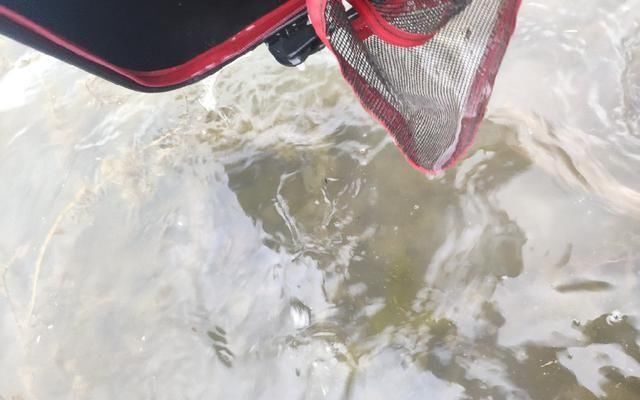『天气』实践来验证春天好钓的天气是...